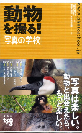 動物を撮る！前川貴行.jpg