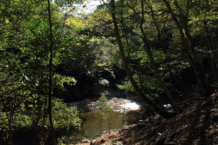 大分県渓流１.JPG