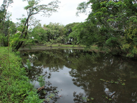 島津邸の池.jpg