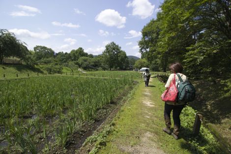 延岡植物園IMG_5305.jpg