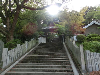 東雲神社CIMG3263.JPG