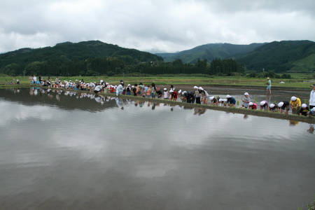 田植え２０１１.JPG