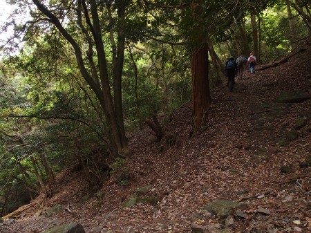 登山道１.jpg