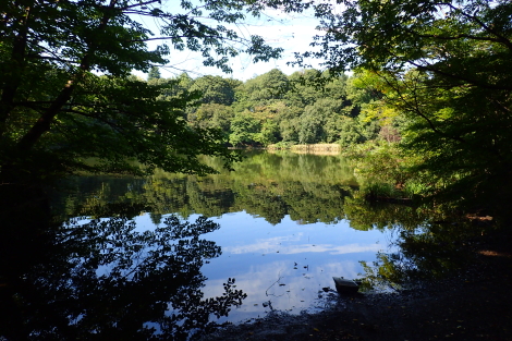 石神井公園PA030001.JPG