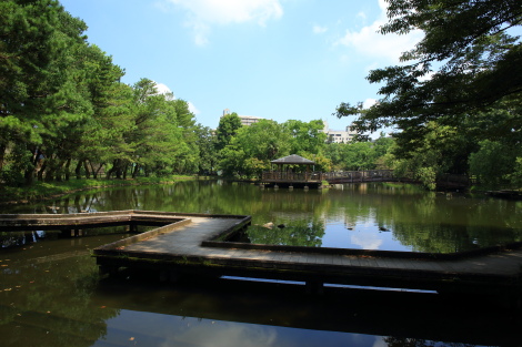 神柱公園701A4272.JPG