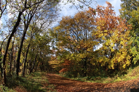 秋が瀬公園２.JPG