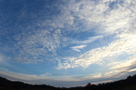 秋空_MG_8377.JPG