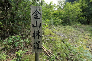 金山林道IMG_6612.JPG