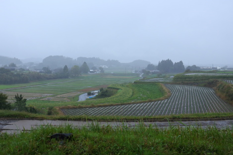 雨の一日IMG_1601.JPG