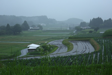 雨701A7392.JPG