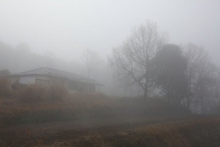 霧の朝701A0507.JPG