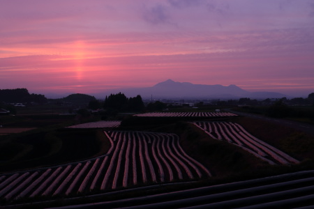 霧島山夕焼けIMG_0429.JPG