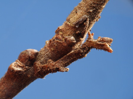 20120204WW044673.jpg