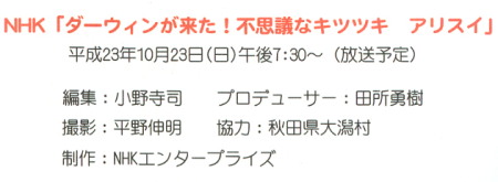 NHK案内はがき裏.jpg