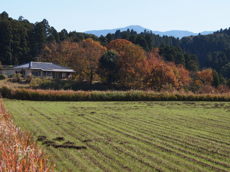 XA063071我が家12月６日.jpg